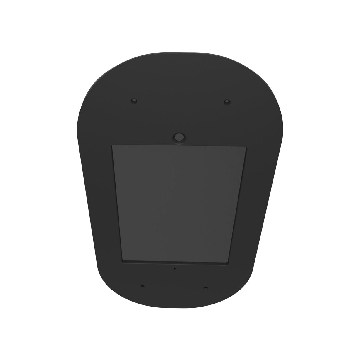 Salsa 2017 10.5" iPad Pro Faceplate